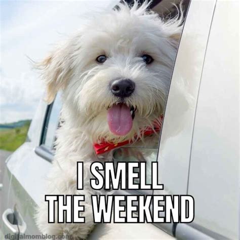 For When the Weekend Can't Come Soon Enough