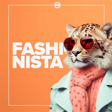 For Your Fellow Fashionista: Messages to Cheer on Their Quest