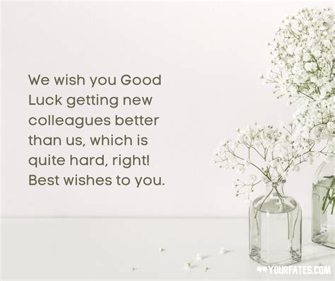 Formal & Respectful Messages for a Colleague or Acquaintance