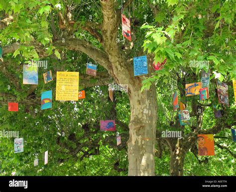 From Our Branch to Yours: Playing with the 'Wishing Tree' Theme