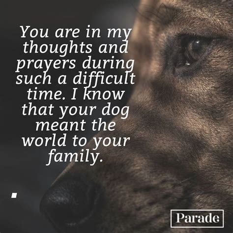 From the Dog's Perspective: Messages 'Written' by a Furry Friend