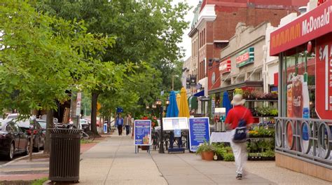 From the Zoo to Your Doorstep: Wishes Featuring Woodley Park Landmarks