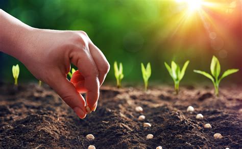 From Wish to Reality: Planting the First Seeds of Action