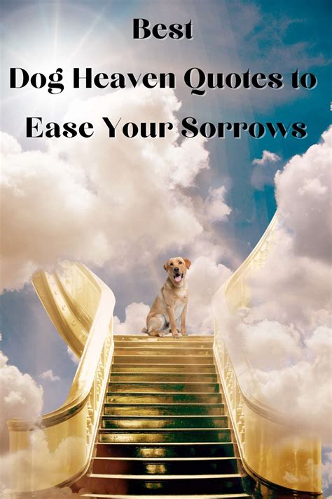 From Your Dog's Pawspective: Simple & Sweet Messages