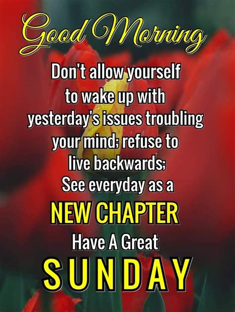 Fun & Cheerful Sunday Greetings for Friends & Family