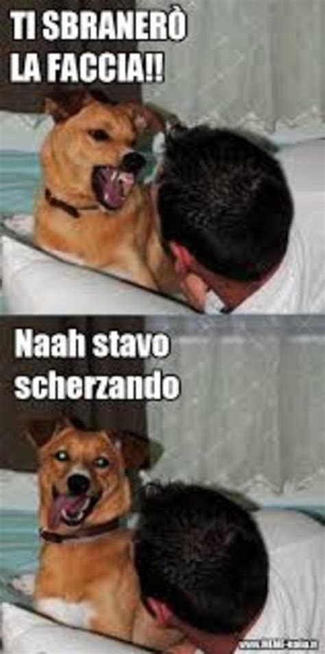 Fun & Playful (Divertenti e Scherzosi): Adding a Dash of Italian Humor