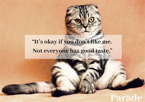 Funny & A Little Sarcastic: For When You're (Lovingly) Bragging