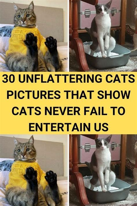 Funny Captions for Unflattering Photos