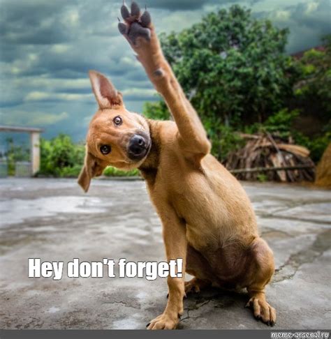 Funny "Don't You Dare Forget Us" Messages