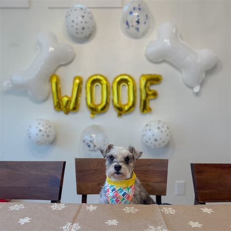 Funny & Fabulous: Cheers to the Big 6-0!