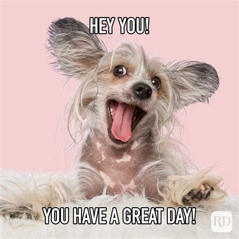 Funny & Fabulous: For a Good Laugh & a Great Day