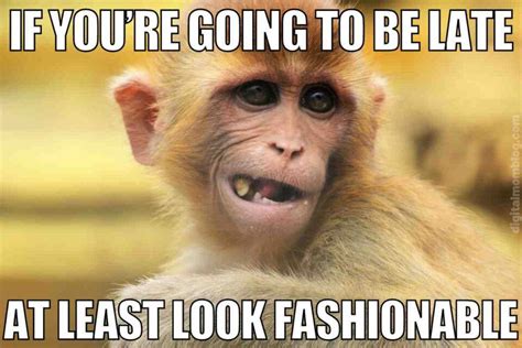 Funny & Fashionably Late: The "Good Excuse" Collection
