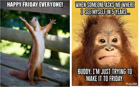 Funny Friday Wishes That Perfectly Capture the 'TGIF' Vibe