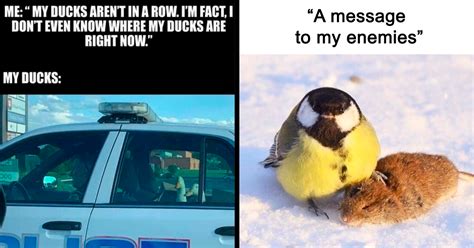 Funny & Giggle-Worthy Messages