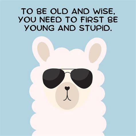Funny & Lighthearted: For the Guy Who Loves a Good Laugh
