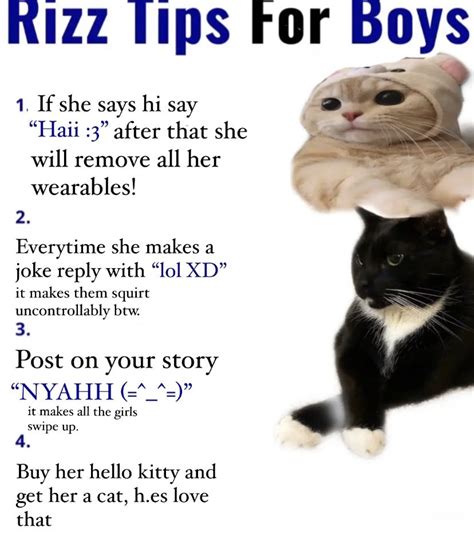 Funny Lines for Your Favorite 'Gato'
