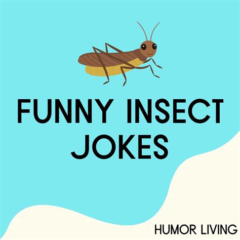 Funny Messages to Laugh the Bug Away