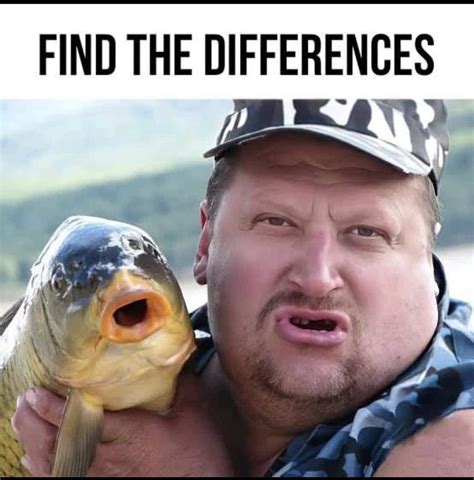 Funny & Punny Catches