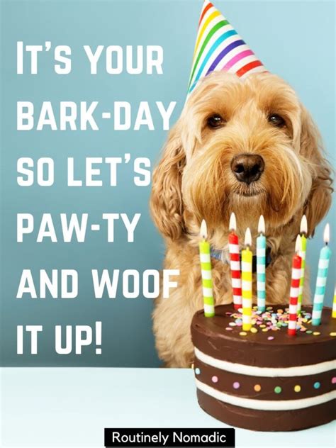 Funny & Punny Dog-Themed Wishes