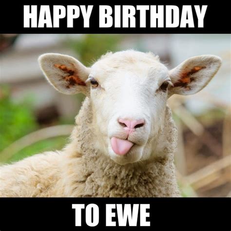 Funny & Punny Wishes: Don't Fret, It's Just a Birthday!