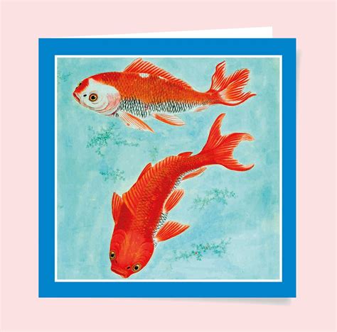 Funny & Quirky Goldfish Greetings