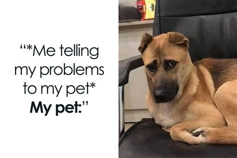 Funny & Relatable: For the Mom Who Juggles It All