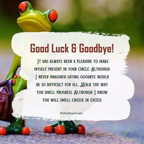 Funny & Relatable Wishes for Leaving 2024 Behind