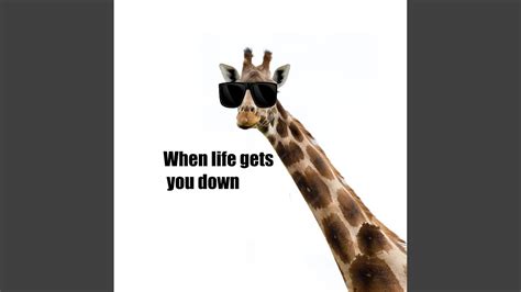 Funny Takes for When Life (or a Rabbit in a Hat) Gets You Down
