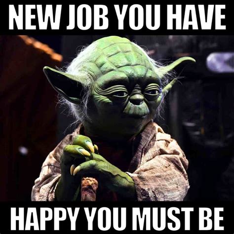 Funny Takes on Your New "Job" Description
