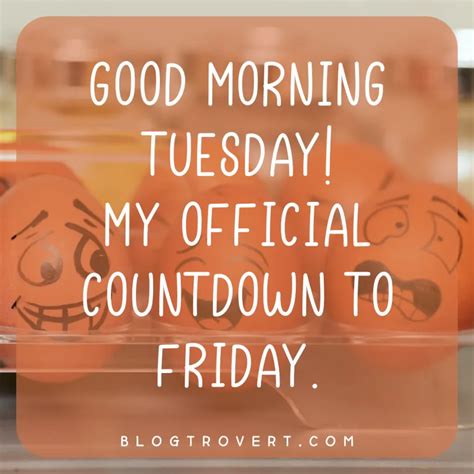 Funny Tuesday Wishes for When Coffee Isn't Enough
