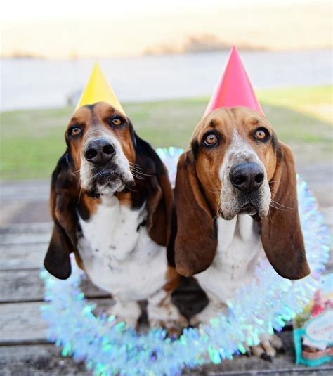 Funny & Upbeat Wishes for Your Friends