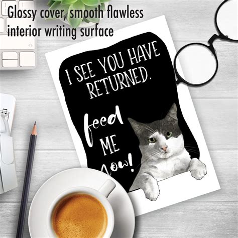Funny Wishes Inspired by Cat Antics