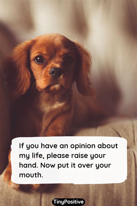 Funny & Witty Messages for Your Favorite People