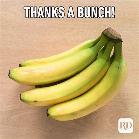 Funny & Witty Thank Yous