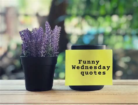 Funny & Witty Wednesday Wishes