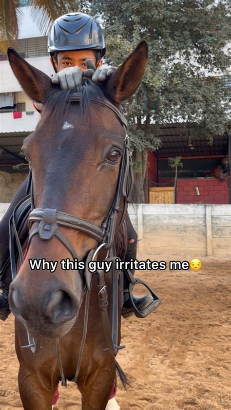 Funny & Zippy: Playful Messages for the New Rider
