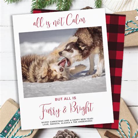 Furry & Bright: Adorable Animal-Themed Wishes