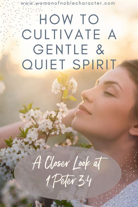 Gentle Wishes for Quiet Moments