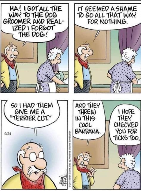 Genuinely Funny Posts (That Go Beyond Age Jokes)