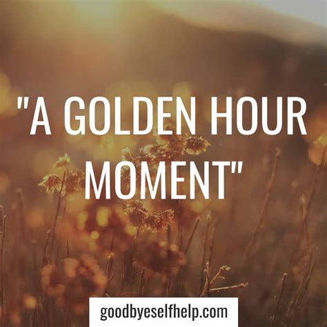 Golden Moments & Perfect Days