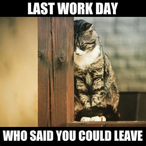 Goodbye Work Week! Funny & Playful Saturday Messages