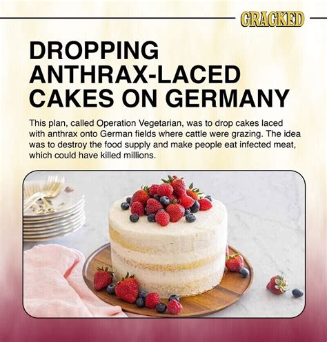 Grand, Diabolical Schemes for Global Annoyance