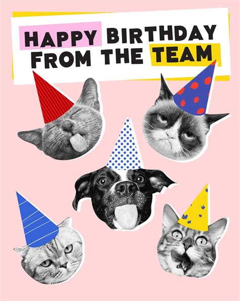 Happy Birthday from Your #1 Squad Mate