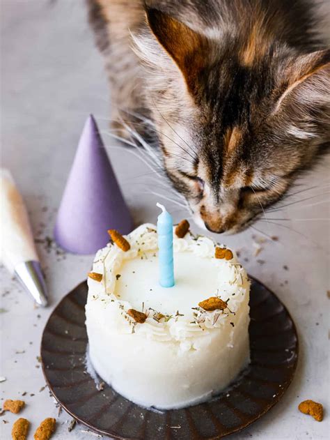 Happy Birthday to the Cat of the Hour (For a Cat's Actual Birthday)
