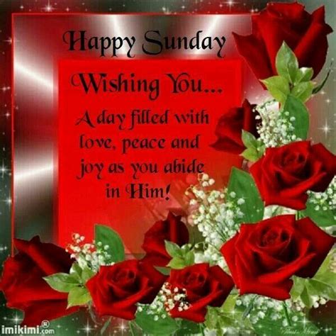 Happy & Fun-Filled Sunday Vibes