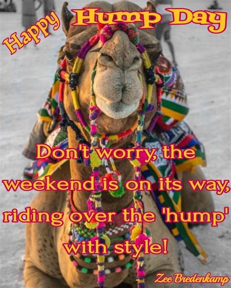 Happy Hump Day! Funny & Lighthearted Wednesday Wishes