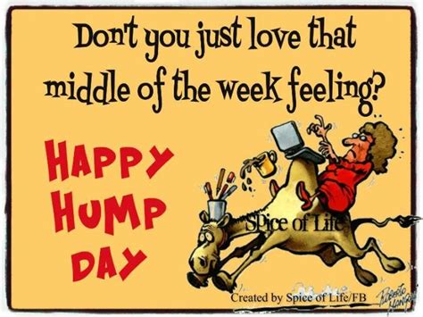 Happy Hump Day! Messages to Get Over the Mid-Week Hill