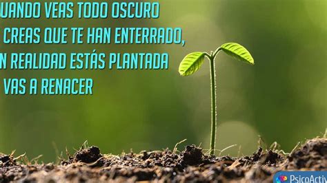 Heartfelt & Emotional Wishes (Mensajes Sinceros y Emotivos)