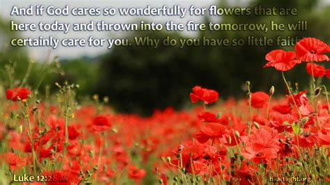 Heartfelt Encouragement When Faith is Fading