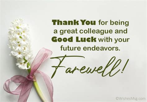 Heartfelt Farewells for a Respected Colleague or Mentor